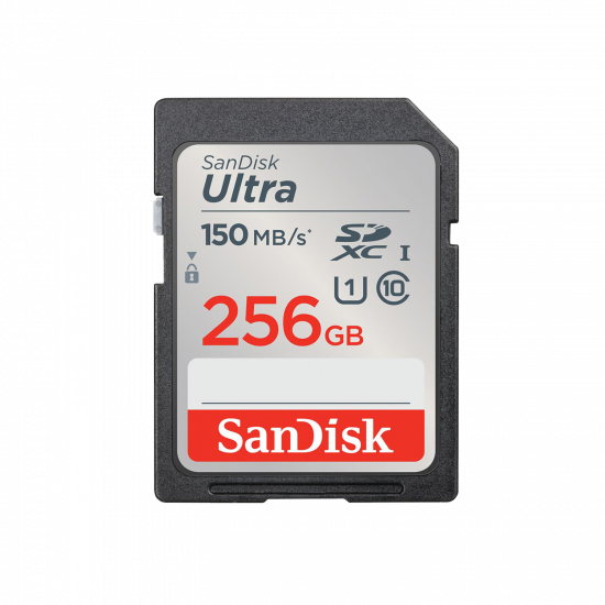 256GB SDHC Memory Card